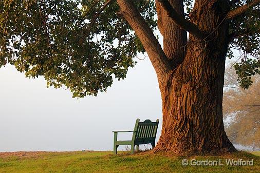 Overlooking A Foggy River_07163.jpg - Photographed near Lindsay, Ontario, Canada.